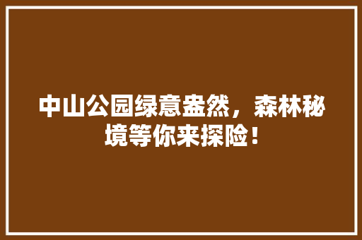 中山公园绿意盎然，森林秘境等你来探险！