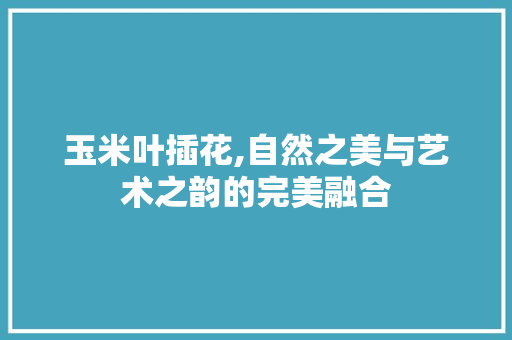 玉米叶插花,自然之美与艺术之韵的完美融合