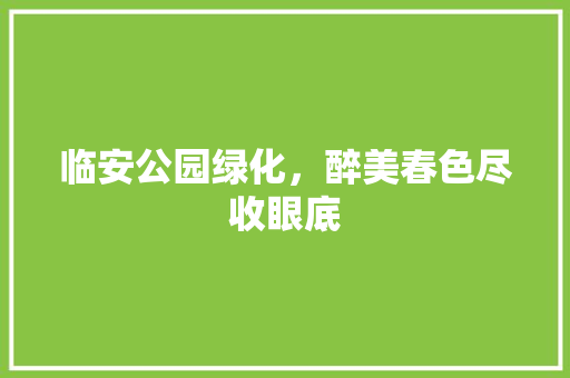 临安公园绿化，醉美春色尽收眼底