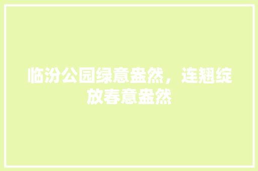 临汾公园绿意盎然，连翘绽放春意盎然