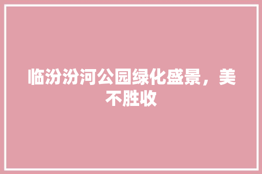 临汾汾河公园绿化盛景，美不胜收