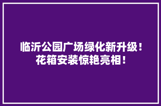 临沂公园广场绿化新升级！花箱安装惊艳亮相！