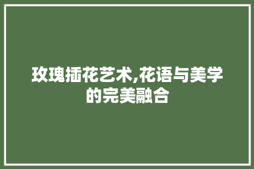 玫瑰插花艺术,花语与美学的完美融合 水果育苗