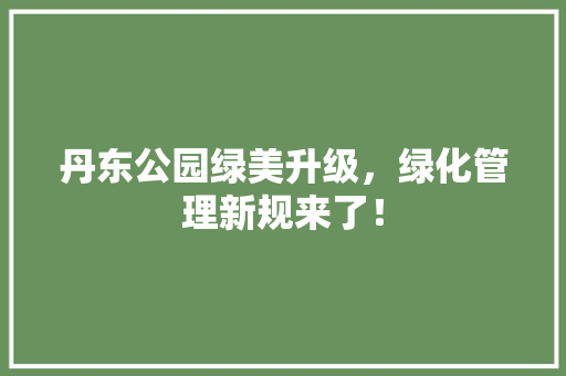 丹东公园绿美升级，绿化管理新规来了！