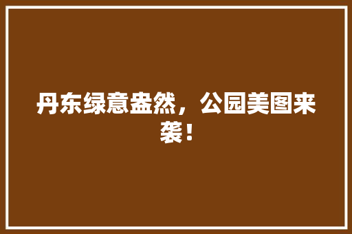 丹东绿意盎然，公园美图来袭！ 温室育苗