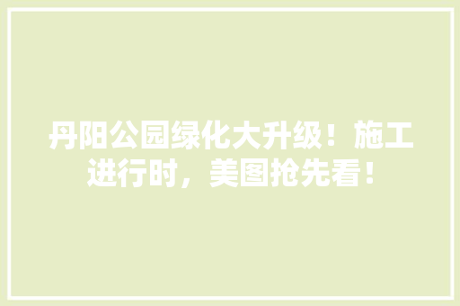 丹阳公园绿化大升级！施工进行时，美图抢先看！