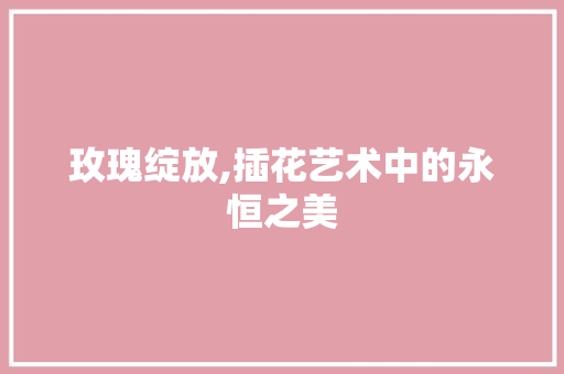 玫瑰绽放,插花艺术中的永恒之美