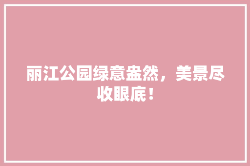 丽江公园绿意盎然，美景尽收眼底！ 无土育苗