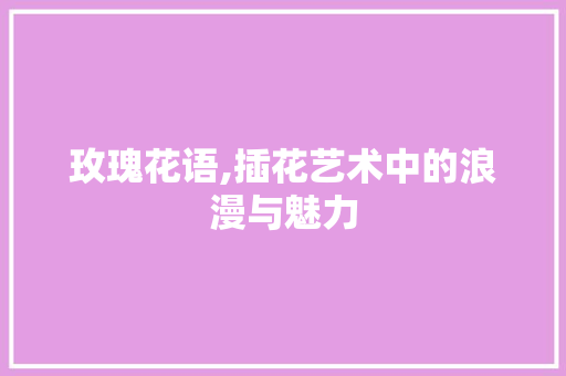 玫瑰花语,插花艺术中的浪漫与魅力