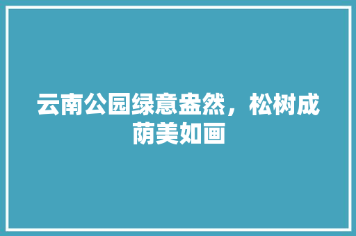 云南公园绿意盎然，松树成荫美如画