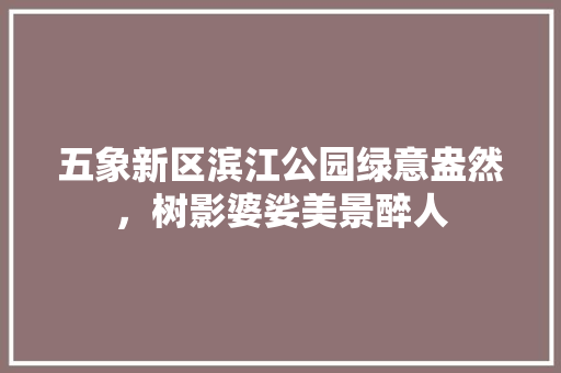 五象新区滨江公园绿意盎然，树影婆娑美景醉人