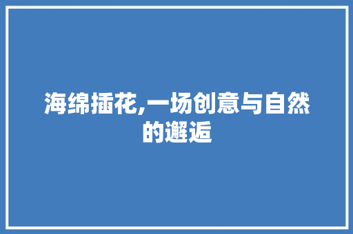 海绵插花,一场创意与自然的邂逅