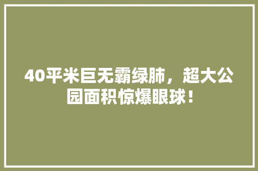 40平米巨无霸绿肺，超大公园面积惊爆眼球！