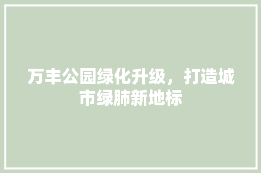 万丰公园绿化升级，打造城市绿肺新地标