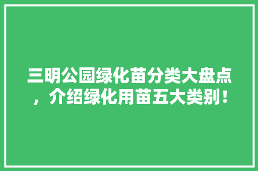 三明公园绿化苗分类大盘点，介绍绿化用苗五大类别！
