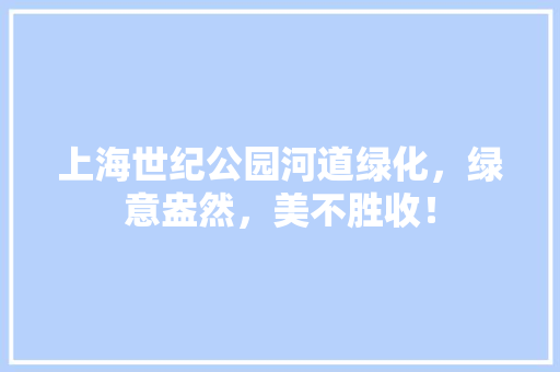 上海世纪公园河道绿化，绿意盎然，美不胜收！
