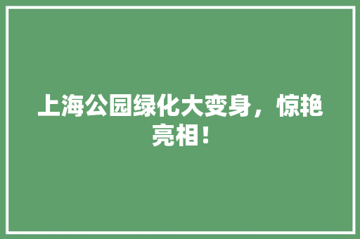 上海公园绿化大变身，惊艳亮相！