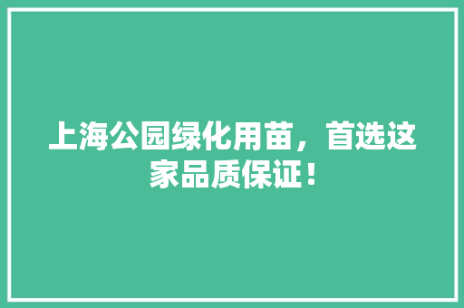 上海公园绿化用苗，首选这家品质保证！