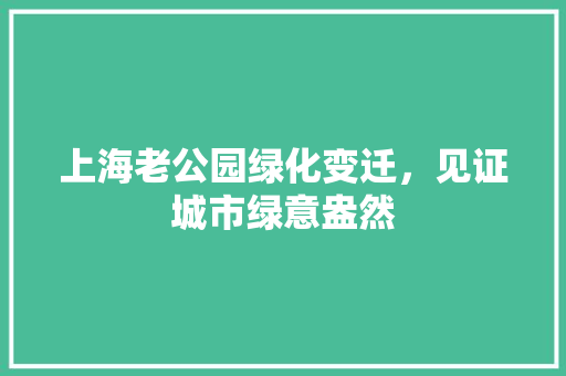 上海老公园绿化变迁，见证城市绿意盎然