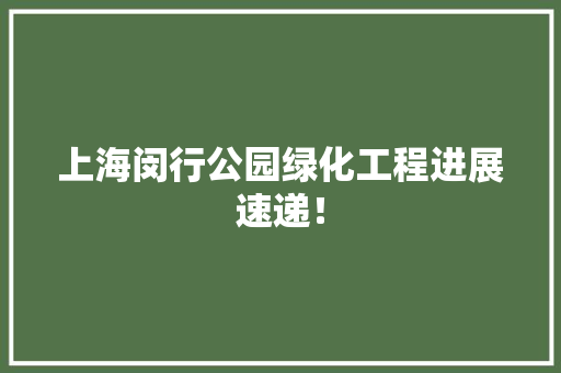 上海闵行公园绿化工程进展速递！