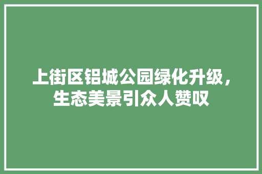 上街区铝城公园绿化升级，生态美景引众人赞叹
