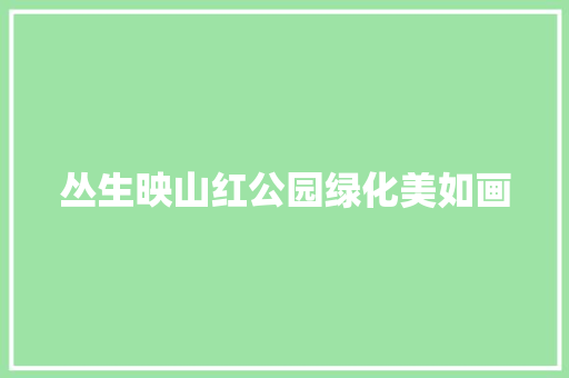 丛生映山红公园绿化美如画 无土育苗
