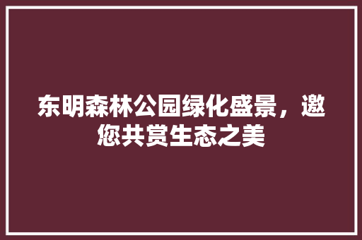 东明森林公园绿化盛景，邀您共赏生态之美 育苗设备