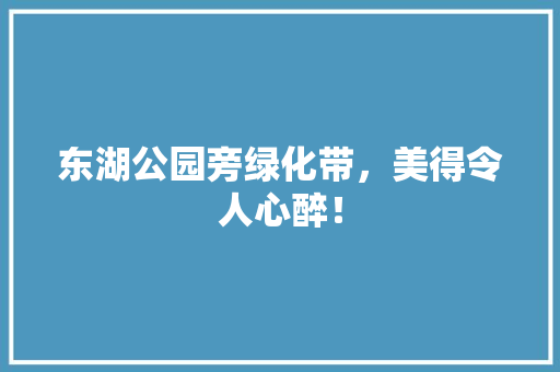 东湖公园旁绿化带，美得令人心醉！