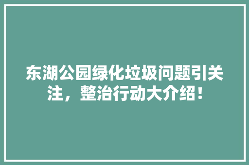 东湖公园绿化垃圾问题引关注，整治行动大介绍！