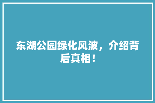 东湖公园绿化风波，介绍背后真相！