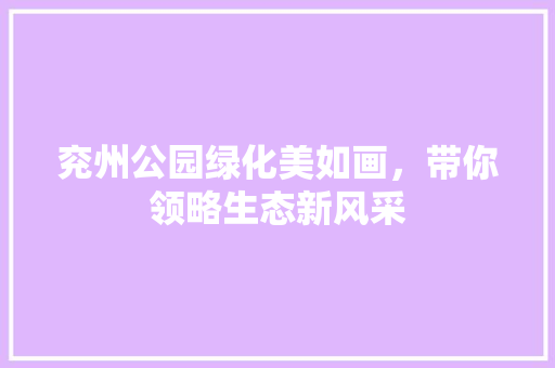 兖州公园绿化美如画，带你领略生态新风采