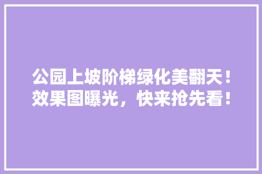 公园上坡阶梯绿化美翻天！效果图曝光，快来抢先看！