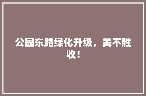 公园东路绿化升级，美不胜收！ 嫁接育苗