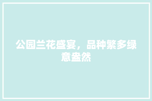 公园兰花盛宴，品种繁多绿意盎然