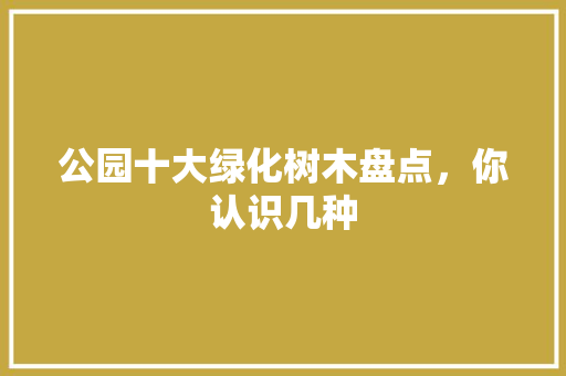 公园十大绿化树木盘点，你认识几种