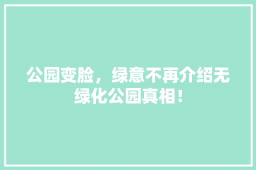 公园变脸，绿意不再介绍无绿化公园真相！