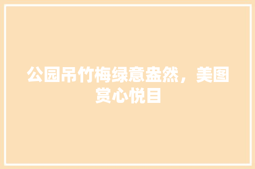 公园吊竹梅绿意盎然，美图赏心悦目