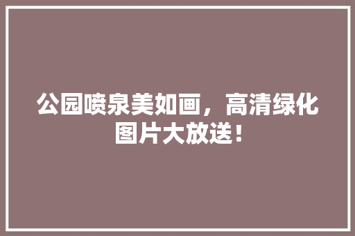 公园喷泉美如画，高清绿化图片大放送！