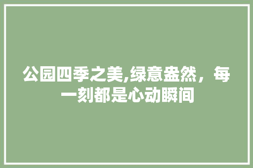 公园四季之美,绿意盎然，每一刻都是心动瞬间