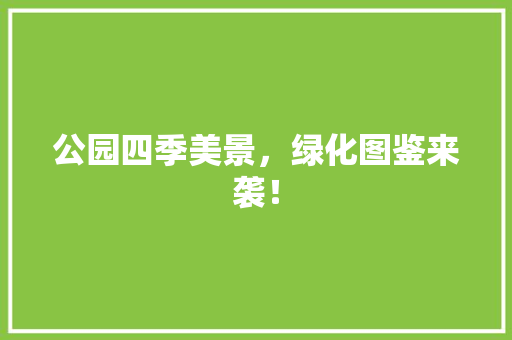 公园四季美景，绿化图鉴来袭！