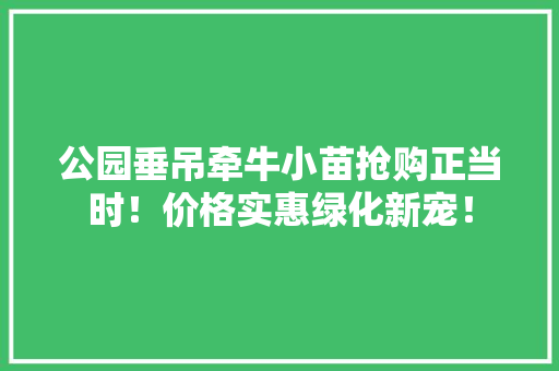 公园垂吊牵牛小苗抢购正当时！价格实惠绿化新宠！