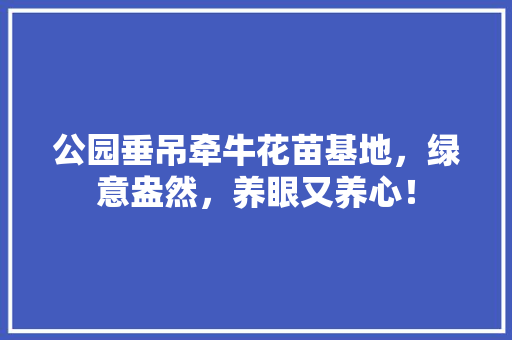 公园垂吊牵牛花苗基地，绿意盎然，养眼又养心！