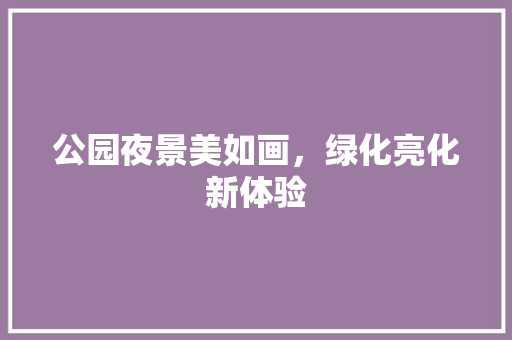 公园夜景美如画，绿化亮化新体验