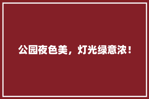 公园夜色美，灯光绿意浓！