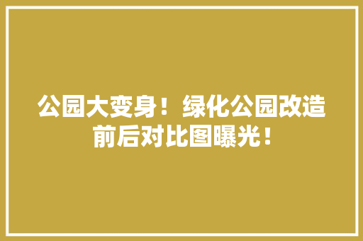 公园大变身！绿化公园改造前后对比图曝光！