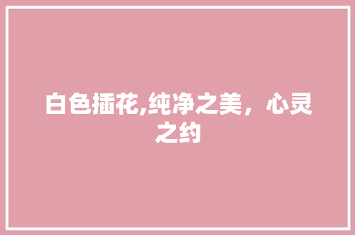 白色插花,纯净之美，心灵之约