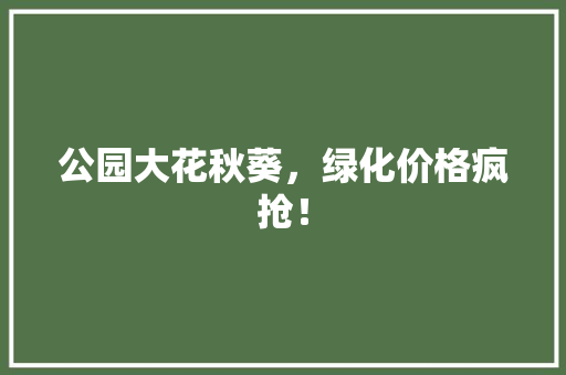 公园大花秋葵，绿化价格疯抢！