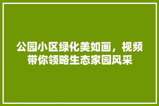 公园小区绿化美如画，视频带你领略生态家园风采