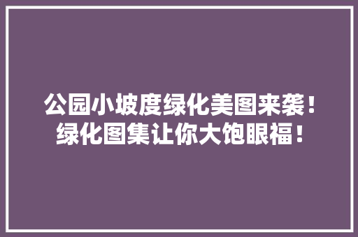 公园小坡度绿化美图来袭！绿化图集让你大饱眼福！