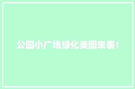 公园小广场绿化美图来袭！ 有机育苗